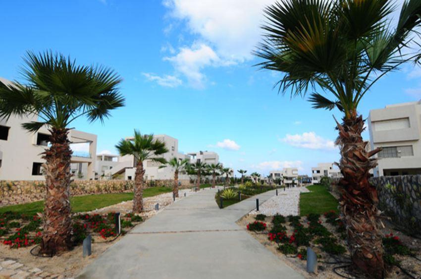 Palm Hills Hacienda White