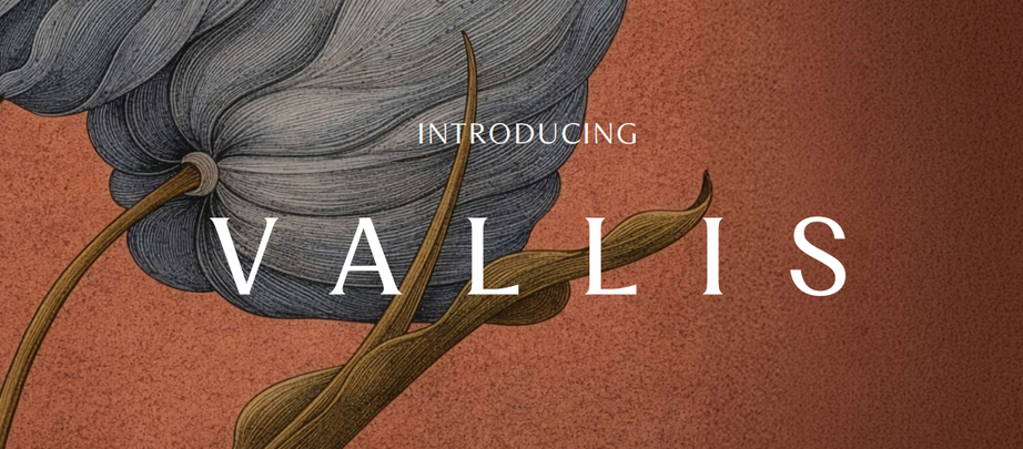 Vallis